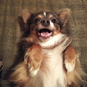 Meet your Posher, Jonah